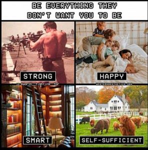 Stupid Bar Memes b79b3e151ef851da