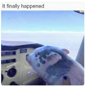 Stupid Bar Memes b83dbb9f77381d76