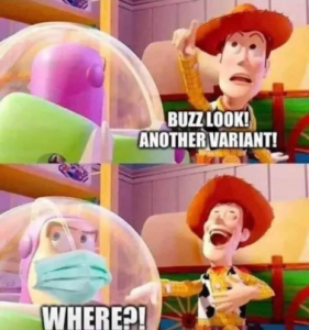 Stupid Bar Memes b96bb97892b5f691