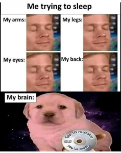 Stupid Bar Memes bcb4f579dd7f1537