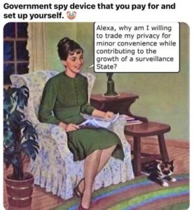 Stupid Bar Memes bcc8deb8a46a2ef1