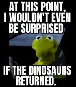 Stupid Bar Memes bd8204693ebcd3b3