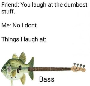 Stupid Bar Memes bfdf5c3ee4472499