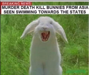 Stupid Bar Memes c1371e8f190c6349