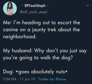 Stupid Bar Memes c210e828aa4e3068