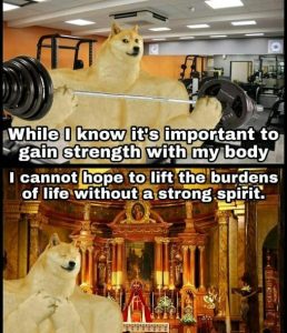 Stupid Bar Memes c3f33c5fac03aea5