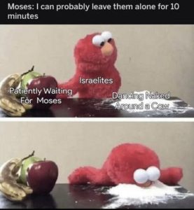 Stupid Bar Memes c46c05bfdec39cdd