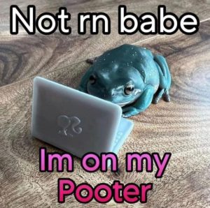 Stupid Bar Memes c607f7dd912a00a4