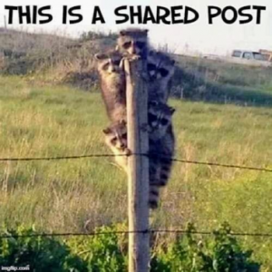 Stupid Bar Memes c6f0c1c34c3d15d3