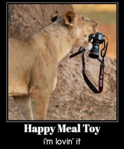 Stupid Bar Memes c9ab51f2eb6298bd