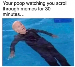 Stupid Bar Memes ca296687812f8d04