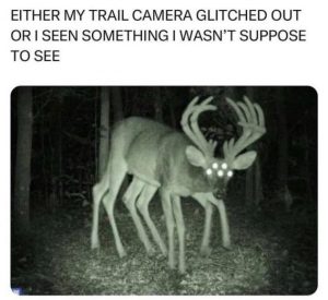 Stupid Bar Memes cc6a5a5f8c45f0de