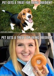 Stupid Bar Memes cff24ce3e6193c68