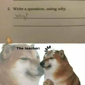 Stupid Bar Memes d673a397678f5a2c