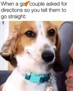 Stupid Bar Memes db153bb07d0c53a1
