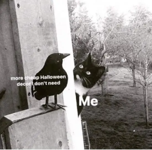Stupid Bar Memes ddkEA5o