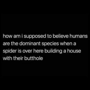 Stupid Bar Memes deaa1c62eb64eb5d