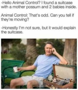 Stupid Bar Memes df2cdc0ef8e8c044