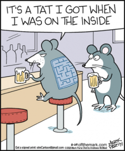 Stupid Bar Memes dfdb5346c186f9d1