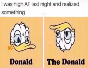 Stupid Bar Memes e053e6895edb6289