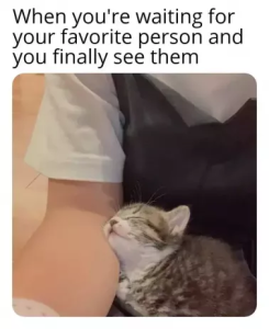 Stupid Bar Memes e18999894b956690