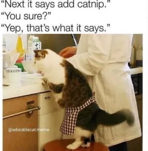 Stupid Bar Memes e6087b8c6ac4b186