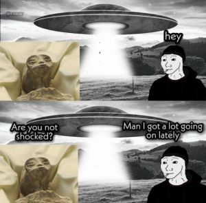 Stupid Bar Memes e7464434da1f44f9