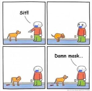 Stupid Bar Memes efaf2adc82ca3097