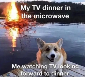 Stupid Bar Memes f1ca32a596a3ebd41455d1e9bac68661