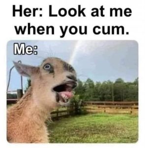 Stupid Bar Memes f449b24e9c78c194