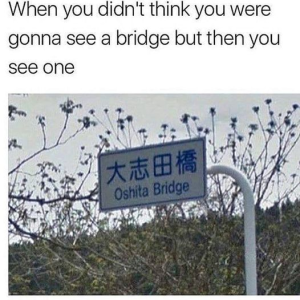 Stupid Bar Memes f70592a80ff95a8b