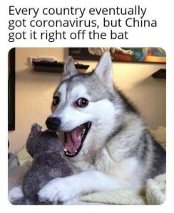Stupid Bar Memes f8b019a4a61307d9