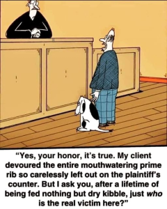 Stupid Bar Memes fbce430b7013446c