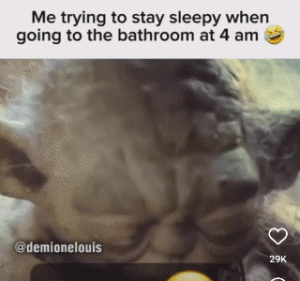 Stupid Bar Memes fc28e841ade8da3c