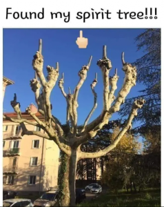 Stupid Bar Memes fe0f829505decb43