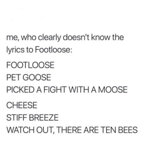 Stupid Bar Memes ff72a71c014d1f78