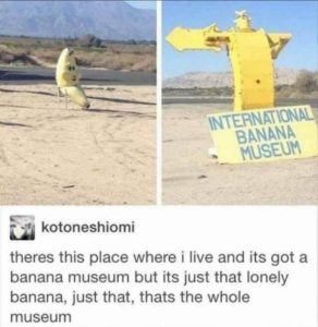 Stupid Bar Memes funnyspicss640shighs47
