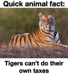 Stupid Bar Memes fzkjfcb