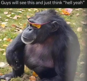 Stupid Bar Memes giTEz0z