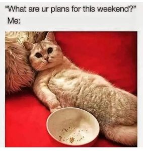 Stupid Bar Memes hilarioustextxs367359252s1004462750685552s177551031951815121sn