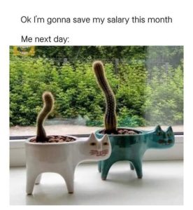 Stupid Bar Memes hilarioustextxs368888127s1656311811542936s4381606108167430565sn