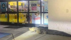 Stupid Bar Memes morningspicss3843s640s15