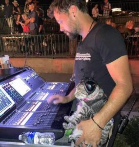 Stupid Bar Memes morningspicss3852s640shighs27