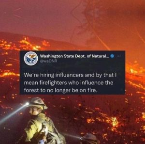 Stupid Bar Memes naturalswadnrshiringsinfluencerssandsbysmeansfirefightersswhosinfluencesforestsnoslongersbesonsfire