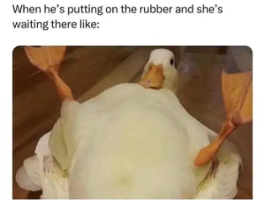 Stupid Bar Memes nsfwsmemessaresthesbests1