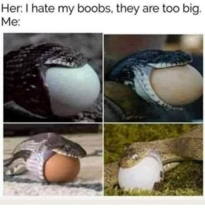 Stupid Bar Memes rSmlJB1