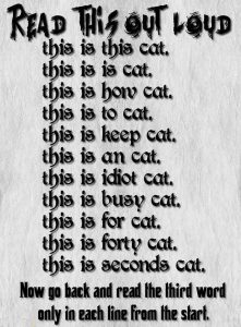 Stupid Bar Memes readsthissoutsloudsthississthisscatsthississhowstoskeepsansidiotsbusysforsfortysseconds