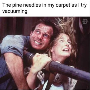 Stupid Bar Memes rqzfxha