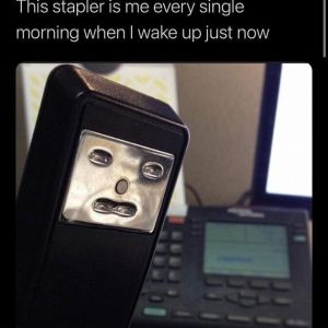 Stupid Bar Memes sbzULKs