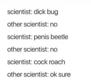Stupid Bar Memes stupidsmemess29